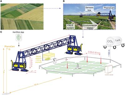 Field phenotyping of ten wheat cultivars under elevated CO2 shows seasonal differences in chlorophyll fluorescence, plant height and vegetation indices